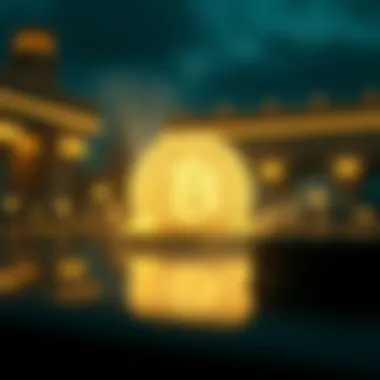 Magnificent 질리카 트위터를 통한 정보 분석
