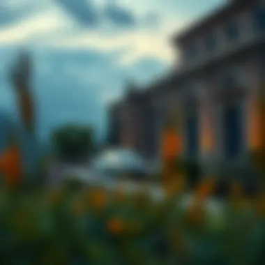 Magnificent 콜 옵션과 풋 옵션의 이해 Magnificent 콜 옵션과 풋 옵션의 이해
