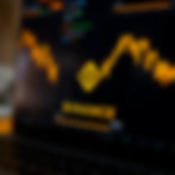 Binance API Interface Illustration of the Binance API interface