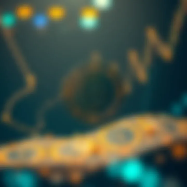 Advantages of BSC Testnet for Developers Benefits of Using BSC Testnet in Development