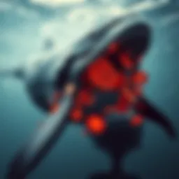 Visual representation of cryptocurrency whales