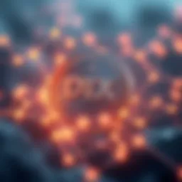 Digital representation of DTX Coin in a blockchain network