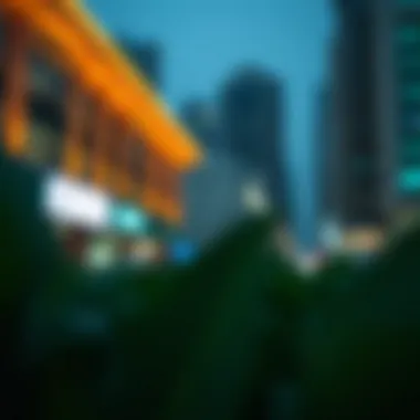 Investment Opportunities in Horizen Coin Potential investment opportunities with Horizen coin