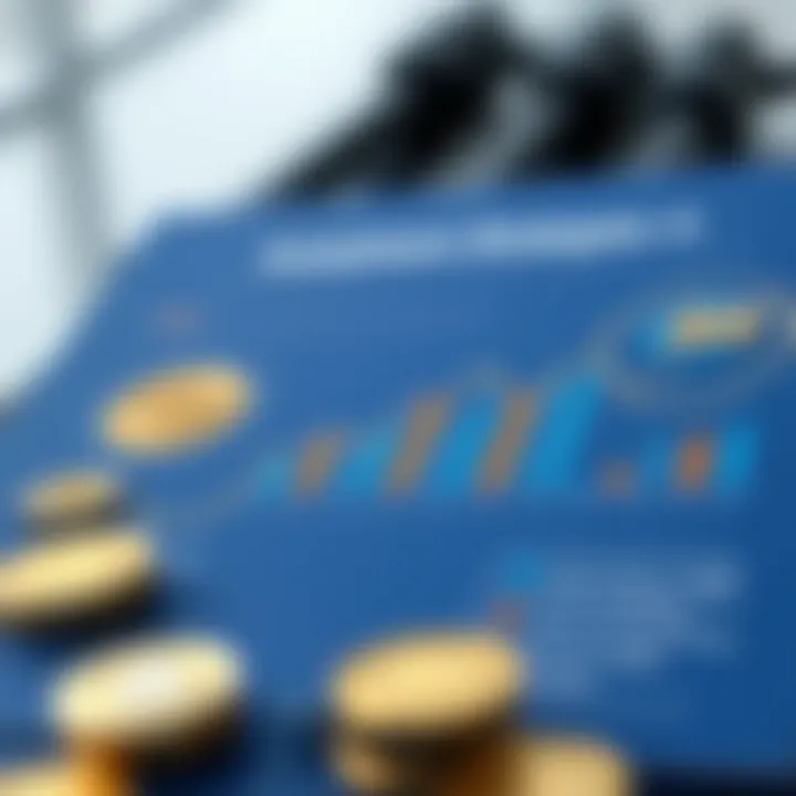 Investment Strategies in Cryptocurrency Infographic on investment strategies and risk management