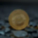 Mudai Coin: 새로운 암호화폐의 동향과 전망 Introduction