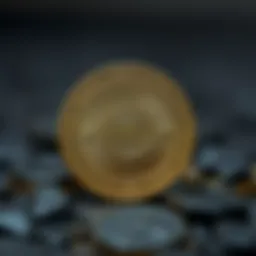 Mudai Coin: 새로운 암호화폐의 동향과 전망 Introduction