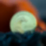 The Symbol of Ocean Coin Ocean Coin logo representation