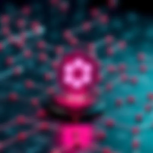 Understanding the Polkadot Ecosystem Visual representation of the Polkadot ecosystem and its components