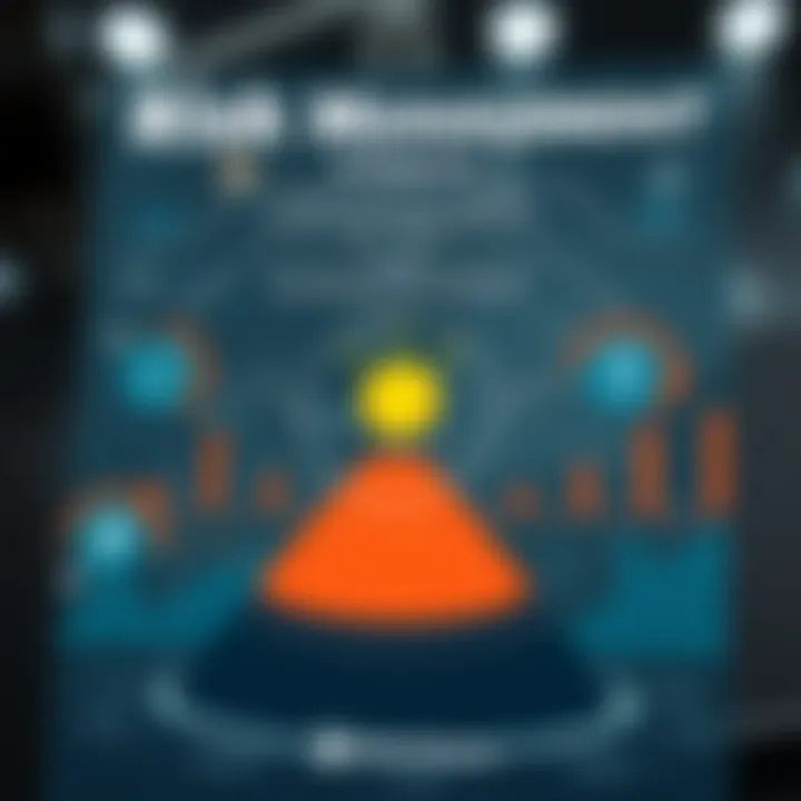 Effective Risk Management Infographic depicting risk management strategies