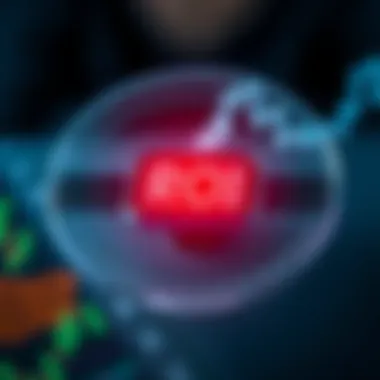 Understanding ROI Calculation Conceptual representation of ROI calculation