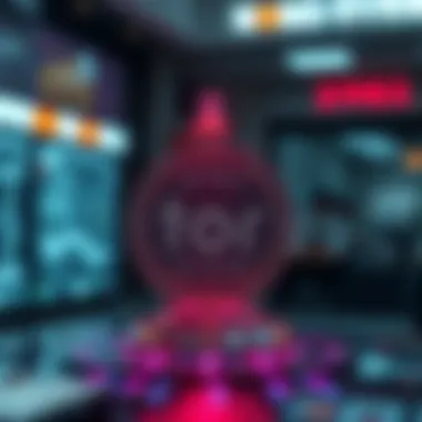 Notable Tor Network에 대한 이해
