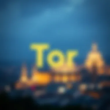 Tor Network에 대한 이해 Summary