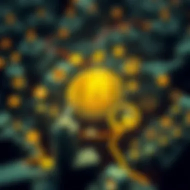 The Ecosystem of USDC Illustration of the ecosystem surrounding USD Coin