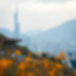 월스트리트 밈 코인 분석 Introduction